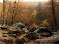 Mediation and Arbitration Services, mediation, mediator, consultation, etc.